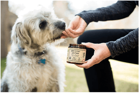 What Causes Anxiety to Dogs